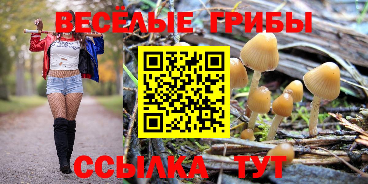 Псилоцибиновые грибы Psilocybe Мирный