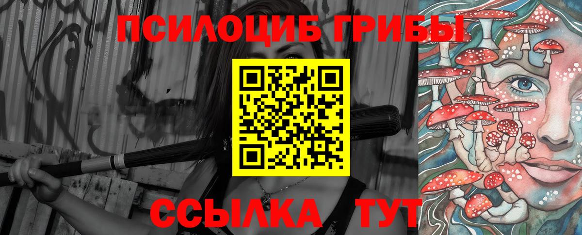 купить наркоту  Псилоцибиновые грибы Psilocybine cubensis  Вход с VPN  Мирный 