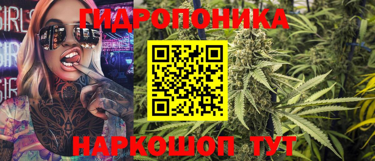 Конопля OG Kush Мирный